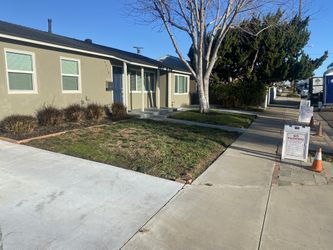 Landscape Ideas 
