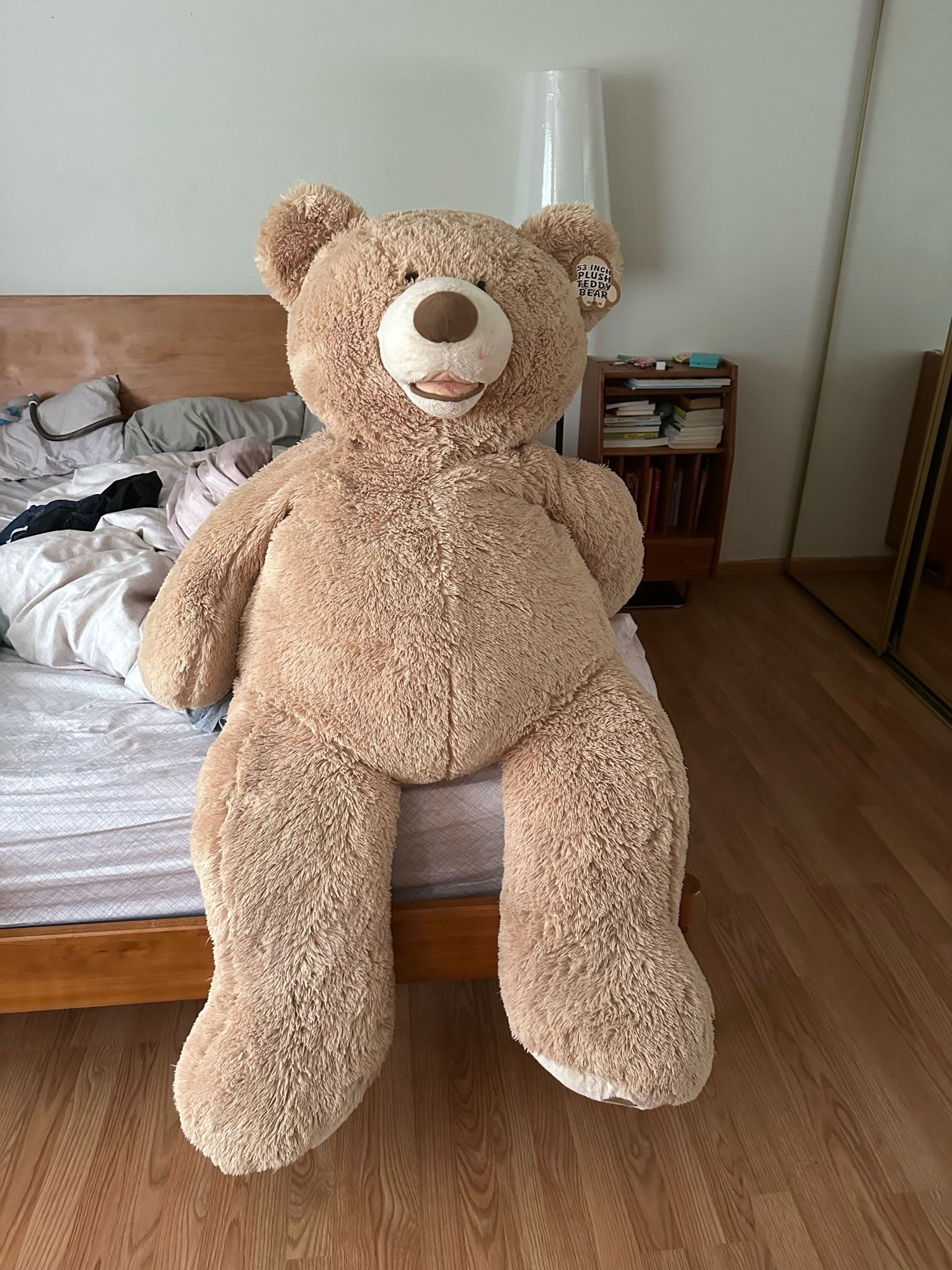 a stuffed teddy bear