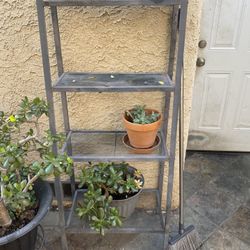 Plant Rack 
