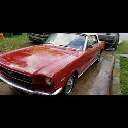 1966 Ford Mustang