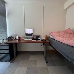 Standing Desk 55 x 28