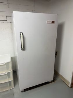 Freezer $120 OBO