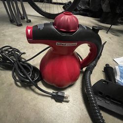 Portable steam cleaner with bag