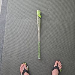 Baseball Bat