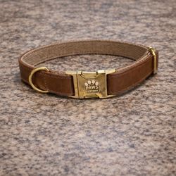 Luxury Custom Dog Collar + Engraved Tag (QR Code) – Same Day Delivery 661