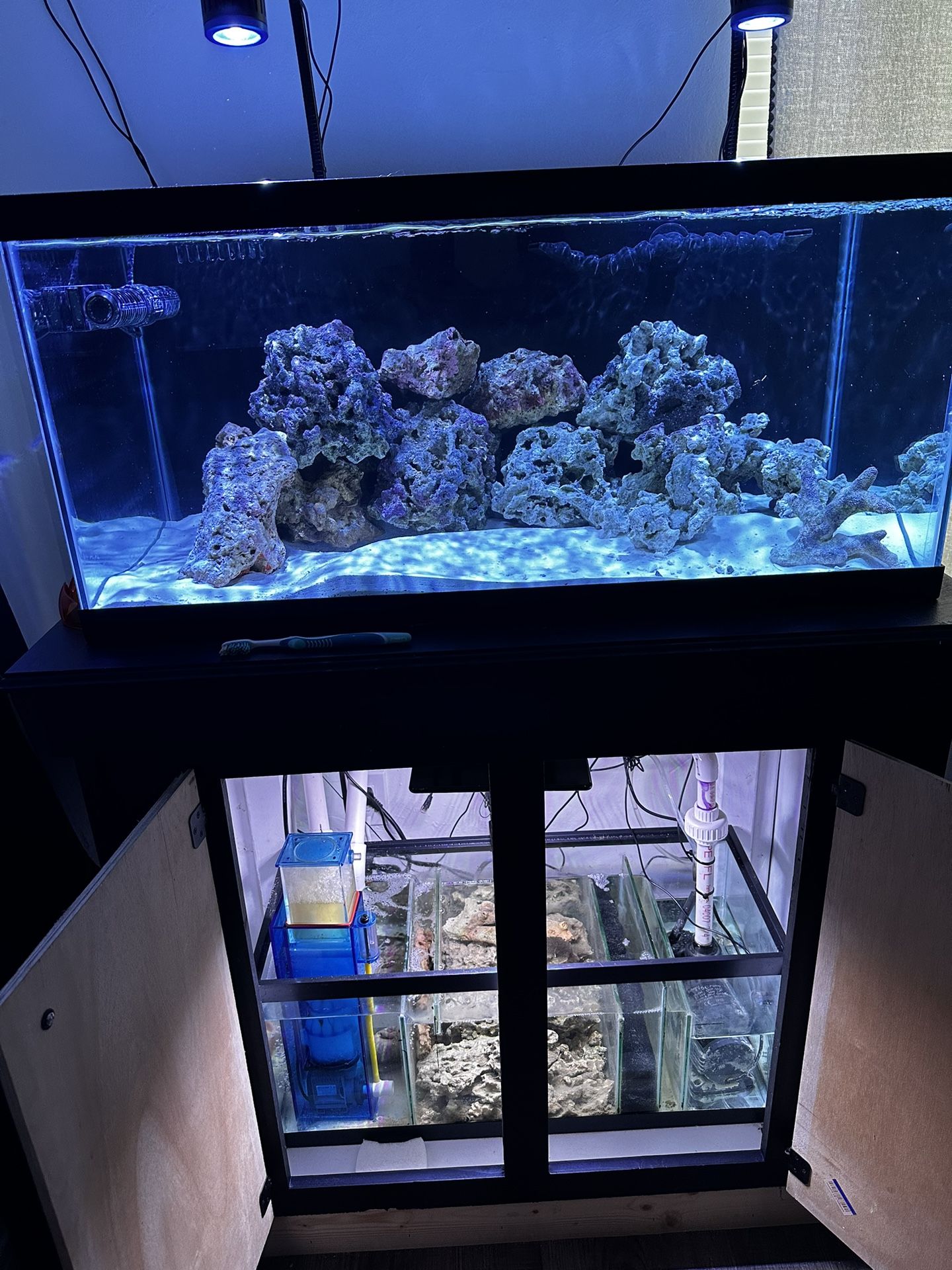 45 Gallon Salt Water Tank