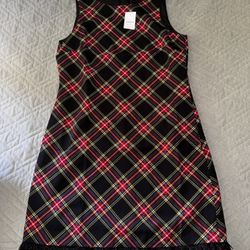 J.Crew Women’s Dress Size 6 