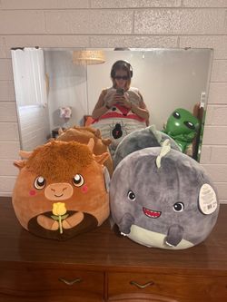 Big Squishmallows