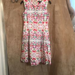 Ladies Chadwick Of Boston Floral Dress Size 4
