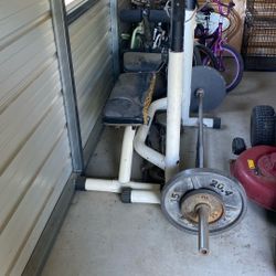 Weight bench with weights