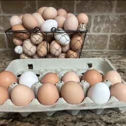 Fresh Chicken Eggs