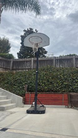 Basketball Hoop