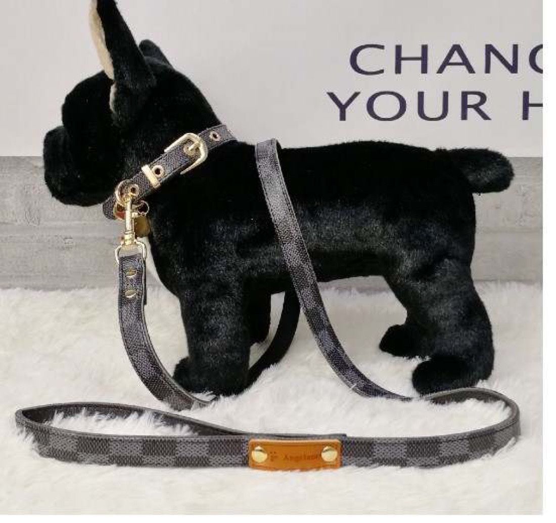 Designer Dog Collar And Leash Set