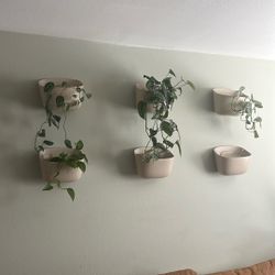 Wall Plant Hanging Baskets 