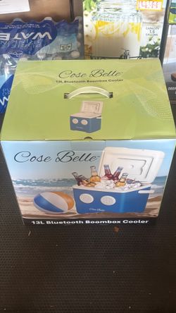 13L Bluetooth boom box