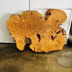 Live Edge Table Top