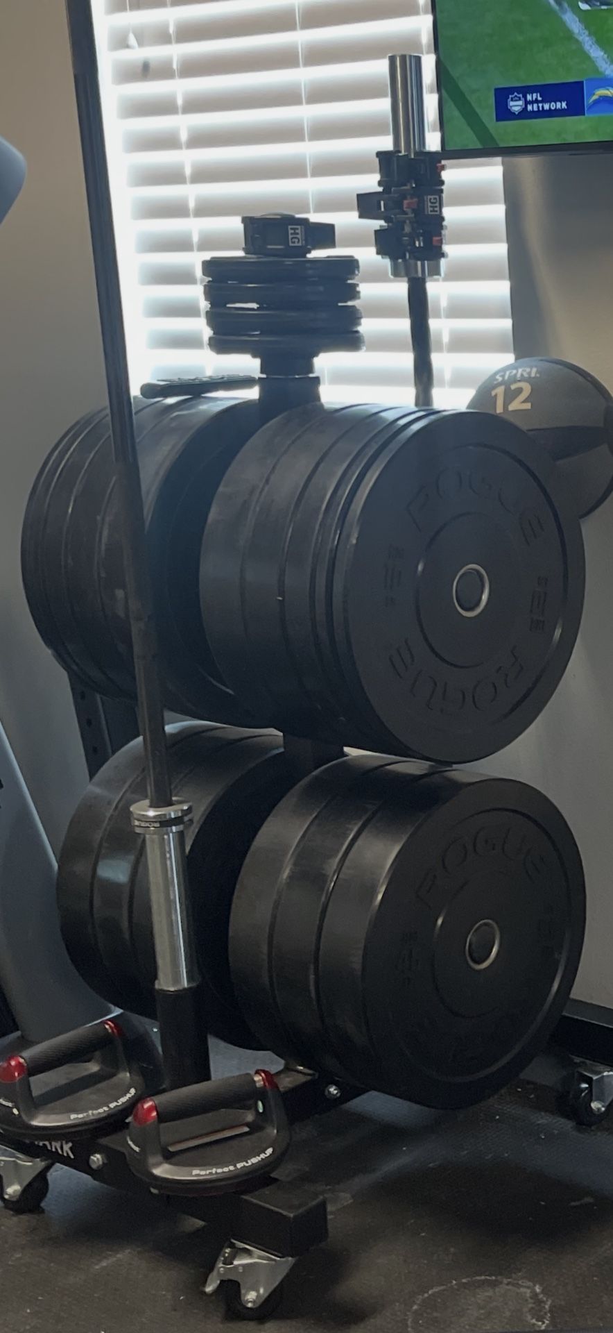 Rogue weights with stand, barbell and curl bar