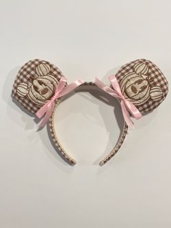 Pumpkin inspired ears 🎃