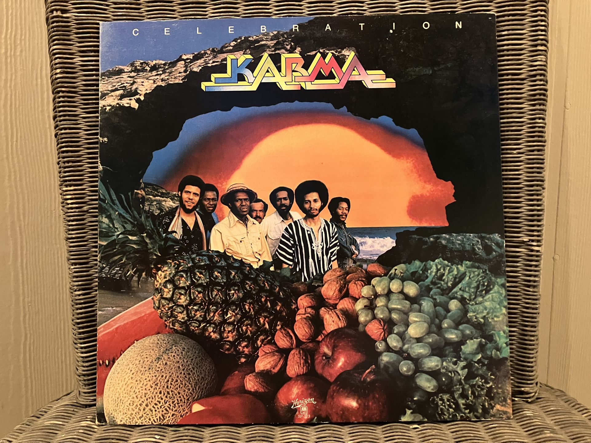 Karma Vinyl Record