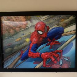 Big Spider-Man Reflective Art