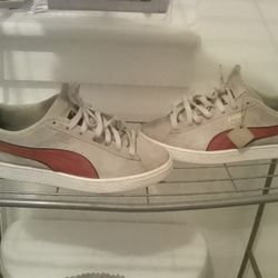 Pumas 