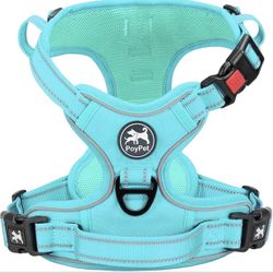 Dog Harness