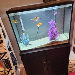 Fish, Fish Tank And Equipment 