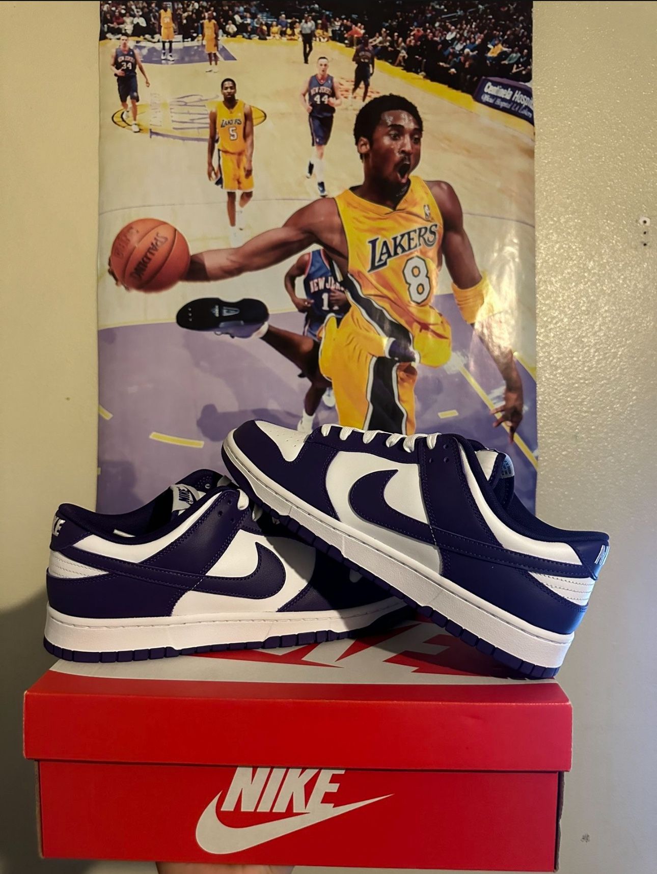 Nike dunk court purple