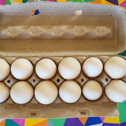 Organic Duck Eggs 🥚