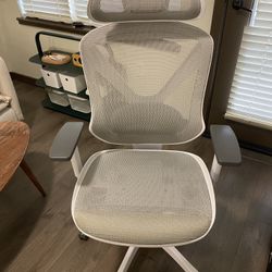 Staples Dexley Ergonomic Mesh Chair