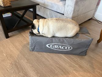 Graco Pack and Play
