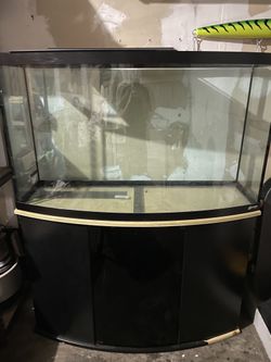 Big show case and stand aquarium