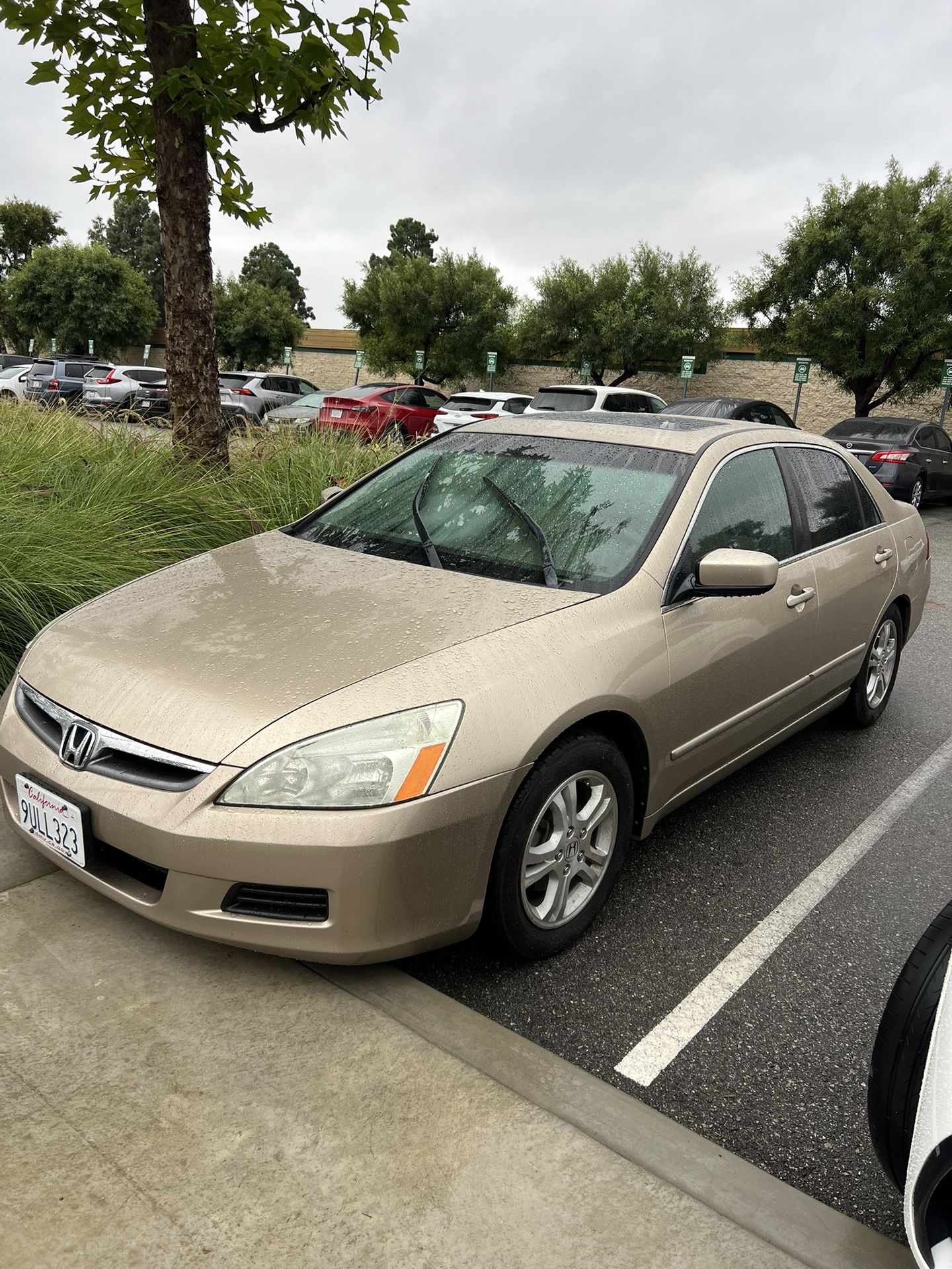 2007 Honda Accord