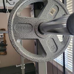 Weider 25lbs plates