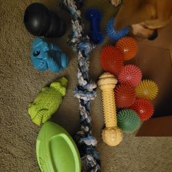 Dog Toys! USED! FREE