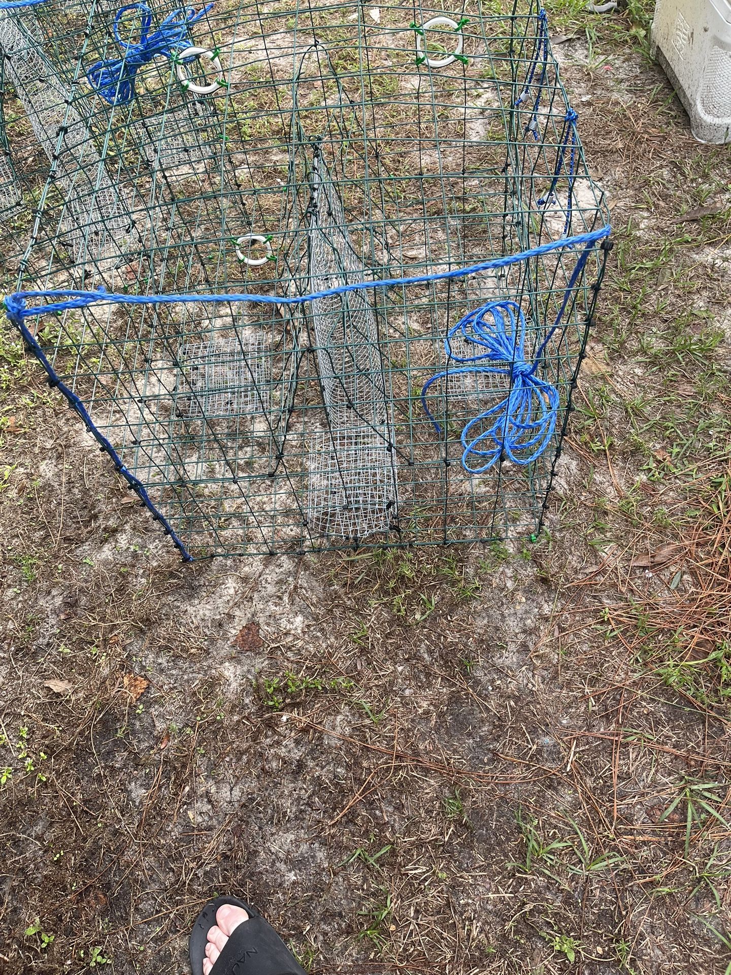 Crab Traps