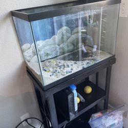 20 Gal Aquarium With Stand 