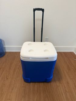 Cooler