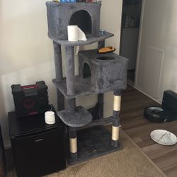 Cat House 