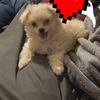 Vinny