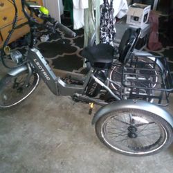 Lectric 3 Wheel Trike 