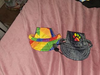 Dogs hats