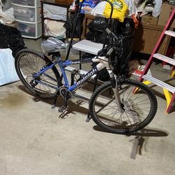 Raleigh Tara Mountain bike Small 17”