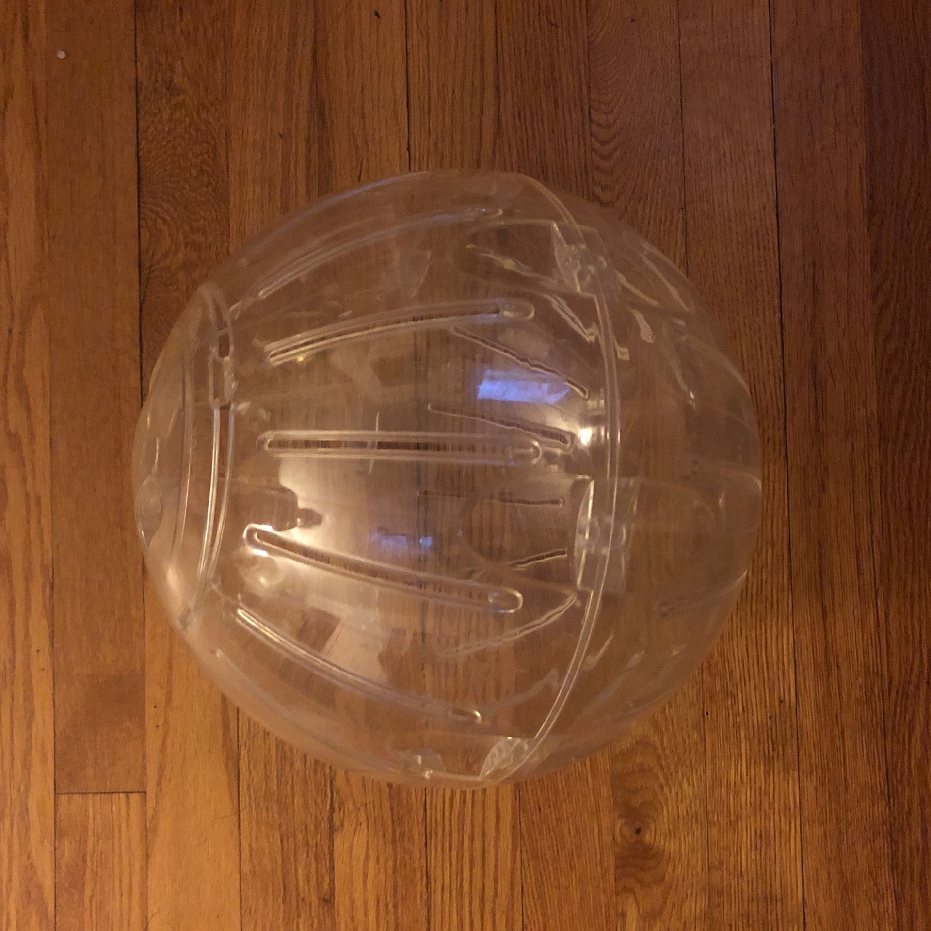 Large Hamster Ball