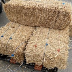 Wheat Straw Bale Animals Bedding and Decorations Halloween Thanksgiving Christmas 