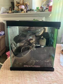 Reptile terrarium (with accessories)