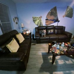 Leather Couches 