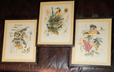 ARTHUR SINGER- Vintage Prints- Set Of 3!!