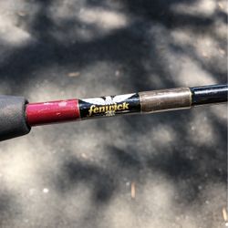 Fishing Pole And Reel