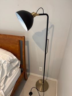 Black and Brass Adjustable Floor Lamp